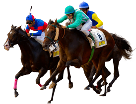 horse-horse-racing